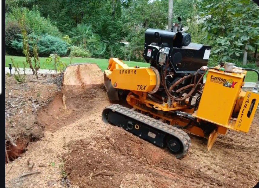 Tracked stump grinder working on the stump