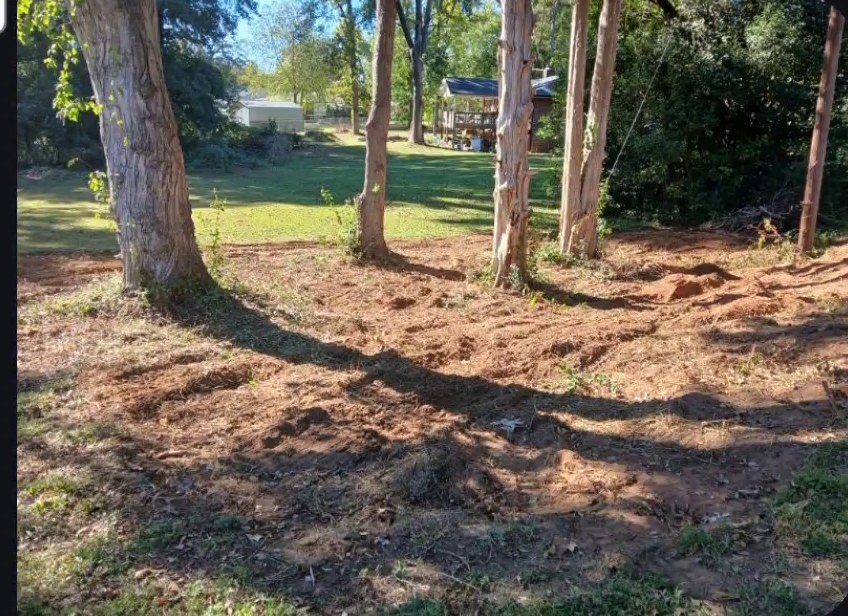 Same tree line with the brush and stumps ground out